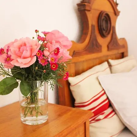 Guest house Vigand Vendeghaz